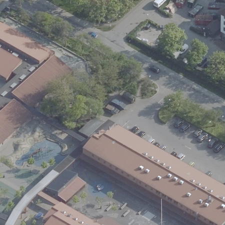 Vejlebroskolen / Den store torsk