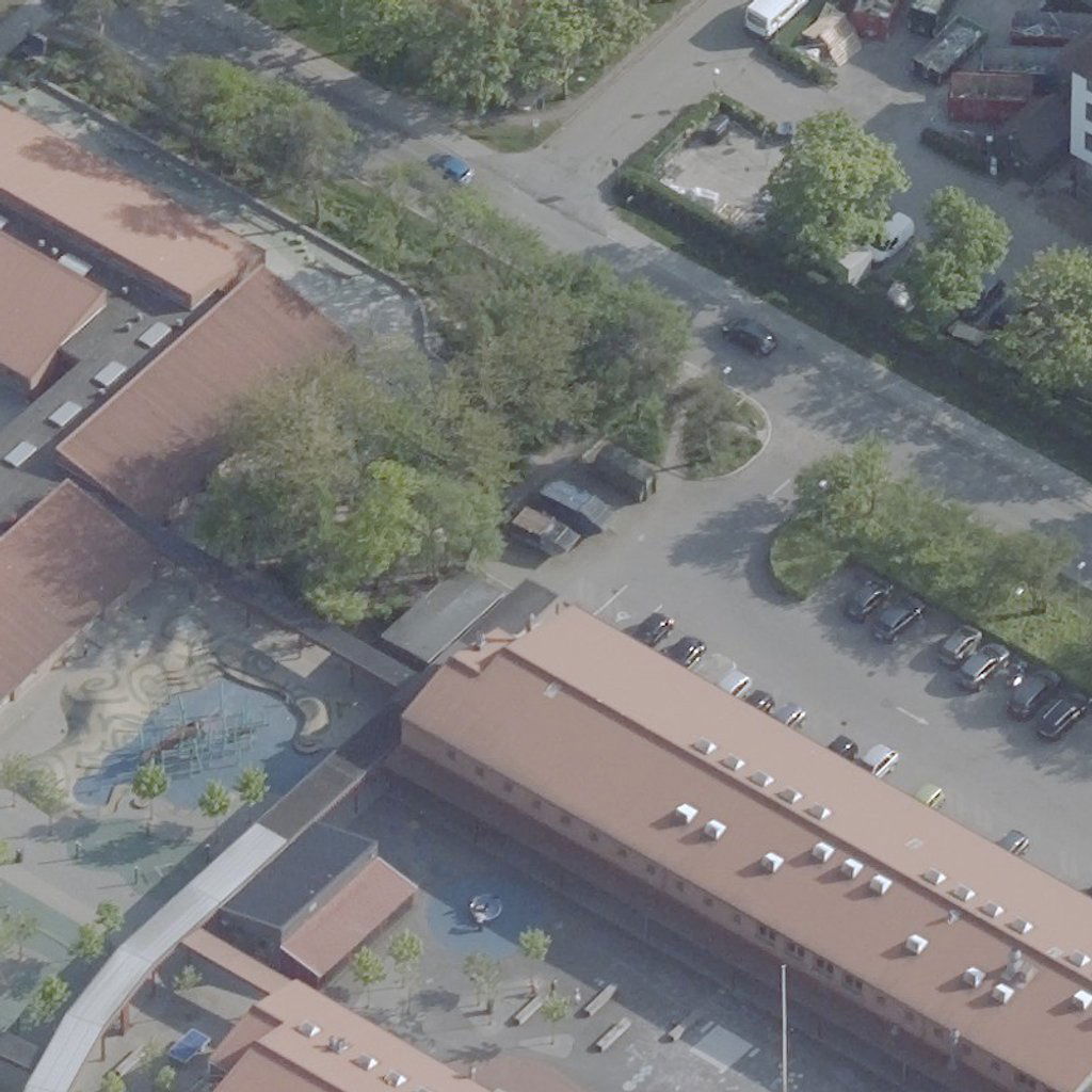 Vejlebroskolen / Den store torsk