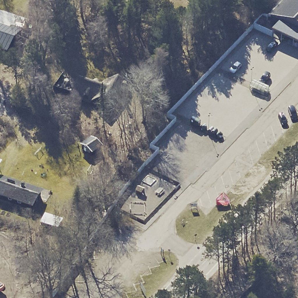 Birkeengen